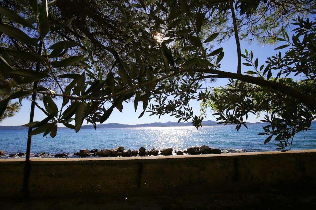Seafront Beach Apartment - Directly At The Beach Zadar Extérieur photo